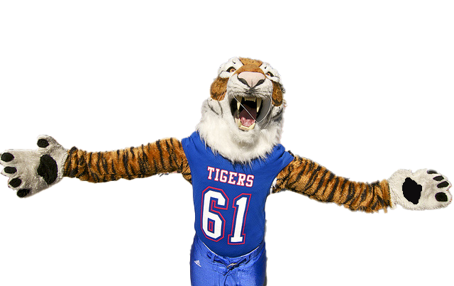 Oops! Finding Robbie Maddison Net Worth Data